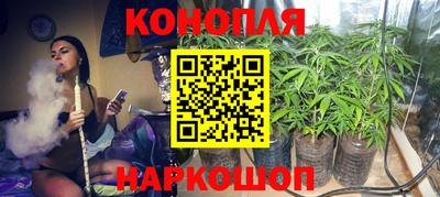 каннабис Будённовск