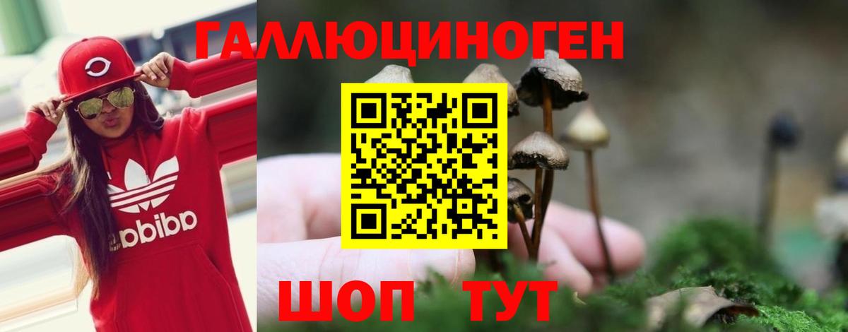 Сургут  Псилоцибиновые грибы GOLDEN TEACHER  что такое   Вход с VPN  Псилоцибиновые грибы ЛСД 