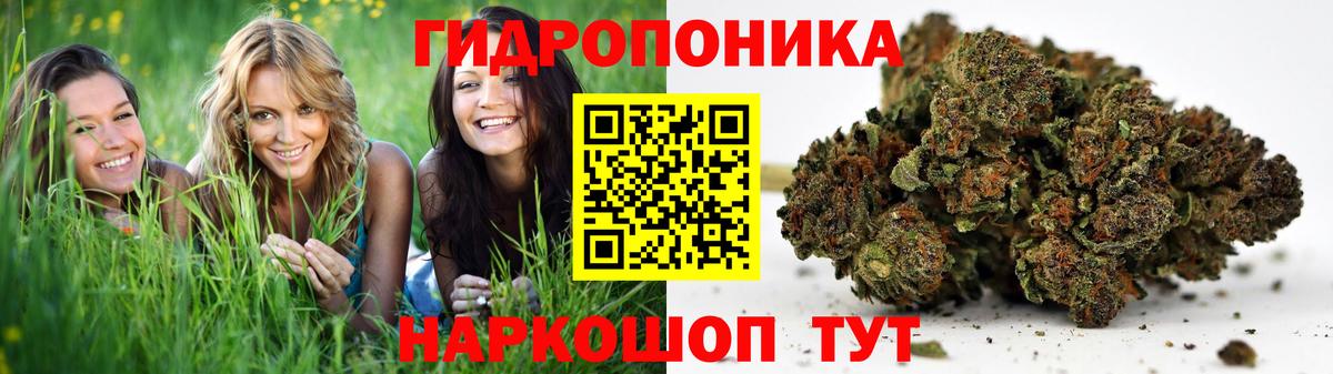 Канабис семена  Вход с VPN  Сургут  Канабис Amnesia 